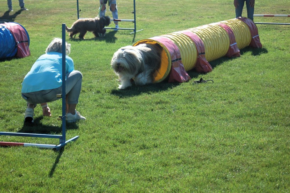 Clubdag 2024-DSC_5421