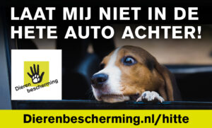 Warm-auto