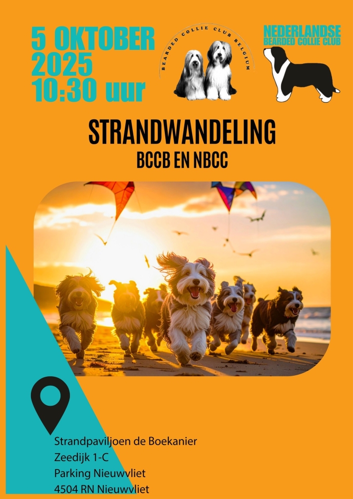 strandwandeling
