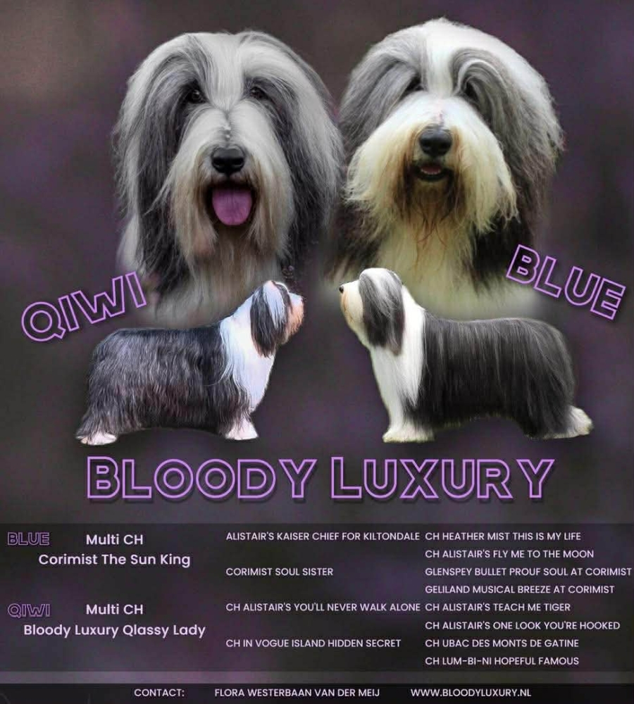 pup-BloodyLuxury-22042026