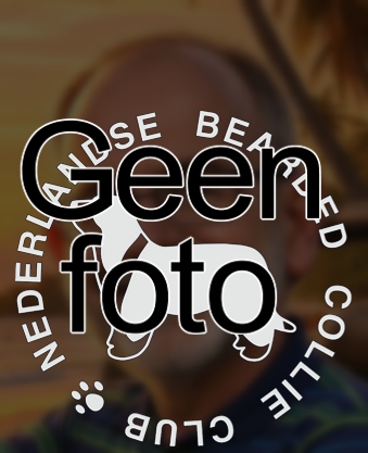 no picture